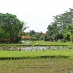 uitzicht-deluxe-garden-saren-indah-ubud-balitravel