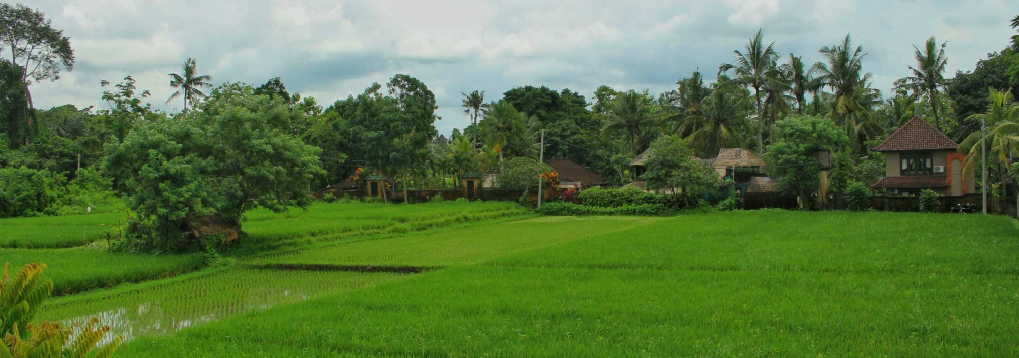 uitzicht-deluxe-saren-indah-balitravel