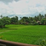 uitzicht-deluxe-saren-indah-balitravel