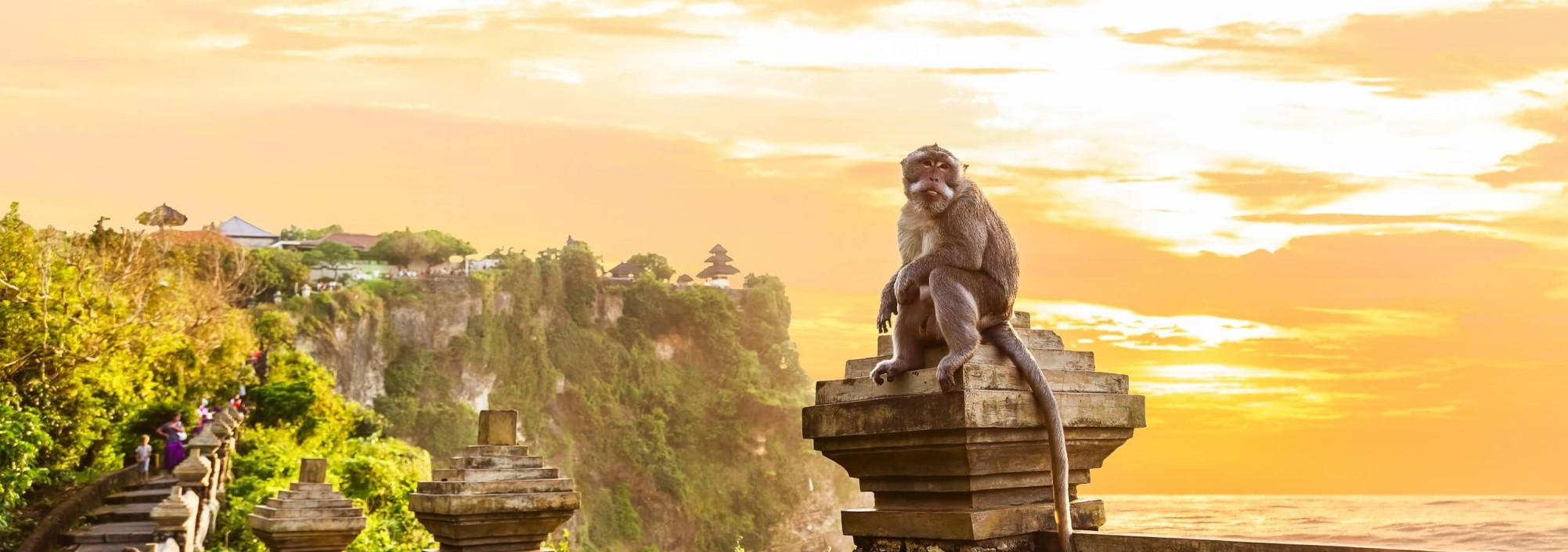 uluwatu-tempel-apen-balitravel