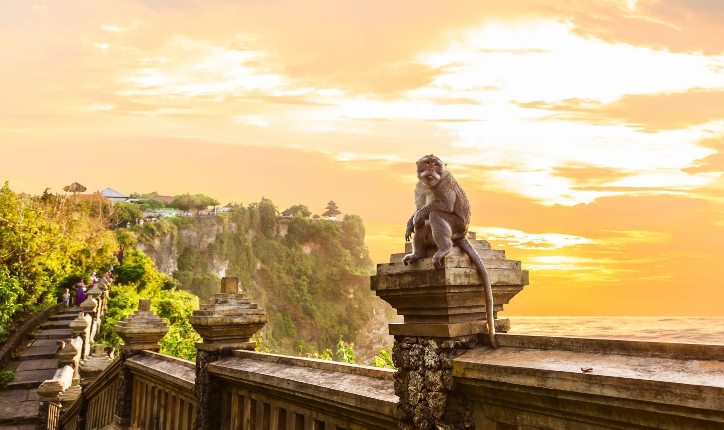 uluwatu-tempel-apen-balitravel