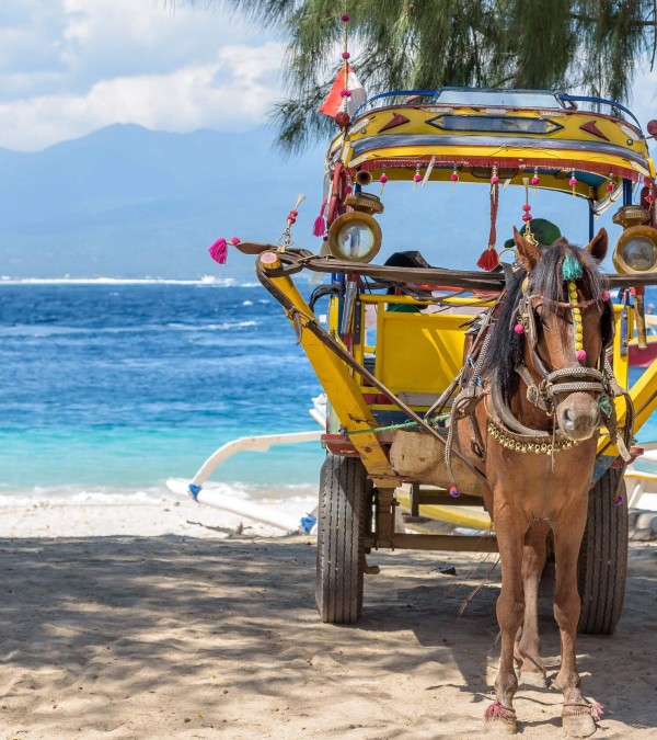 vervoer-cidomo-paard-wagen-gili-balitravel