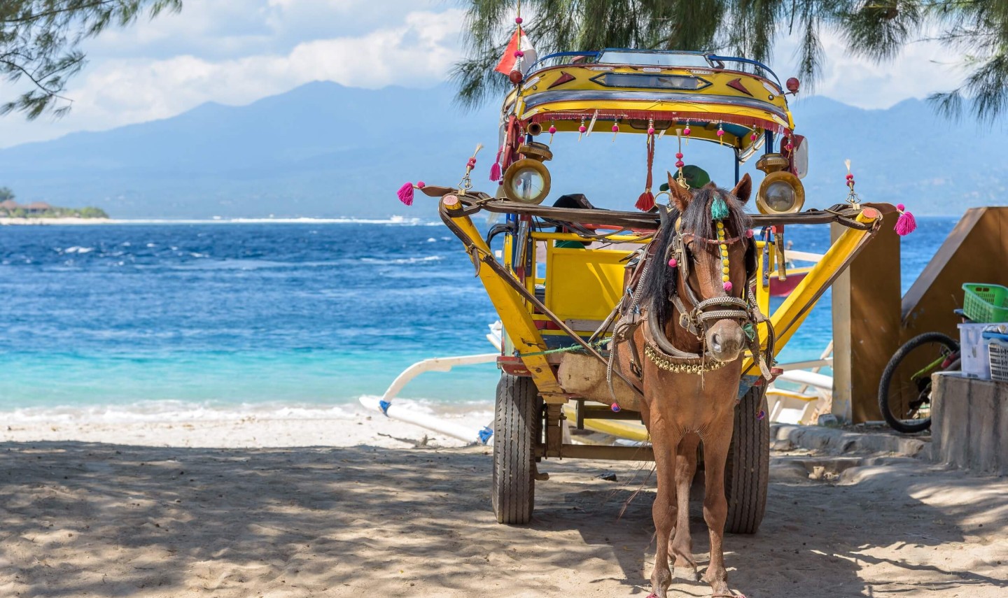 vervoer-cidomo-paard-wagen-gili-balitravel