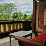 view-balkon-deluxe-saren-indah-ubud-balitravel