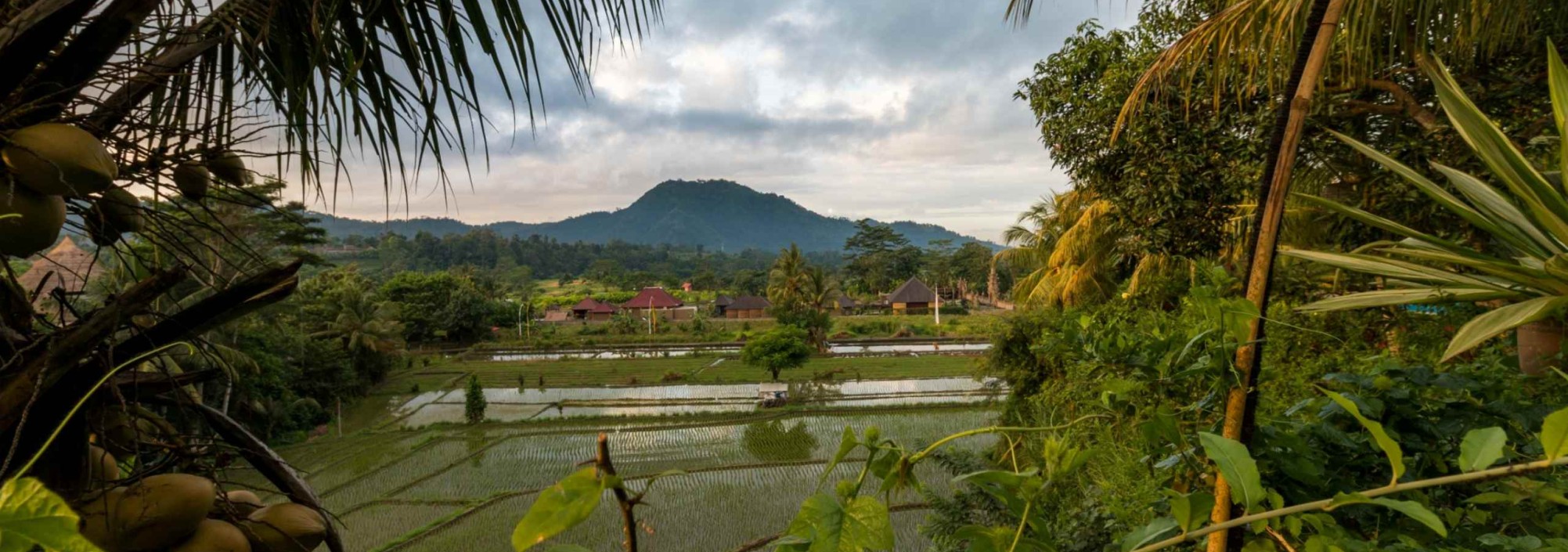 view-cepik-villa-balitravel