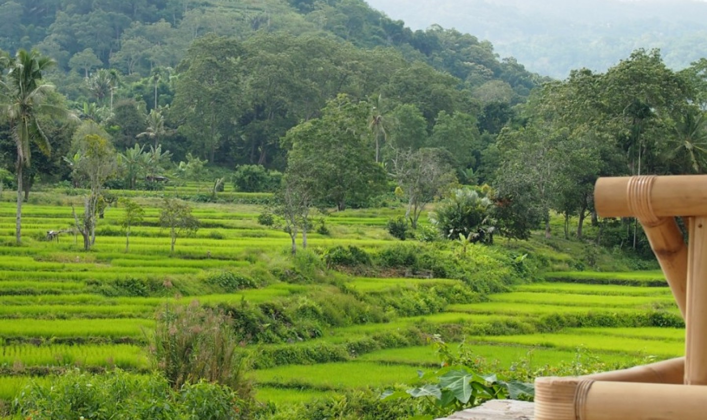view-kelimutu-ecolodge-moni-2
