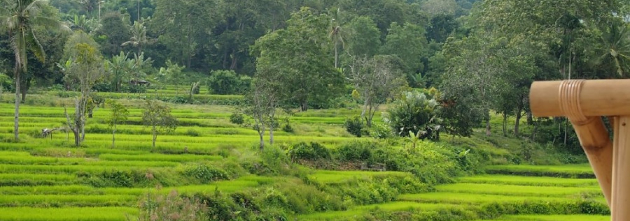 view-kelimutu-ecolodge-moni