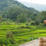 view-kelimutu-ecolodge-moni