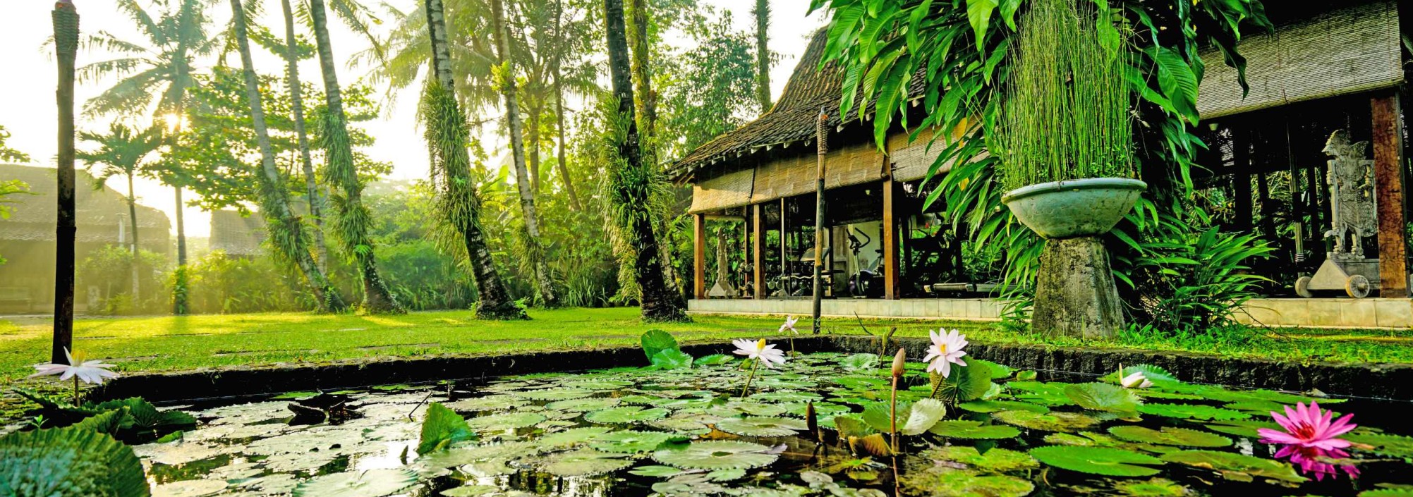 vijver-hotel-d-omah-yogyakarta-balitravel