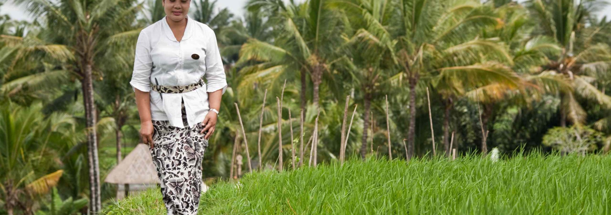 wape-di-ume-services-ubud-balitravel