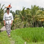 wape-di-ume-services-ubud-balitravel