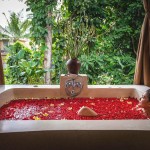 wape-di-ume-spa-ubud-balitravel