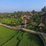 wape-di-ume-ubud-balitravel