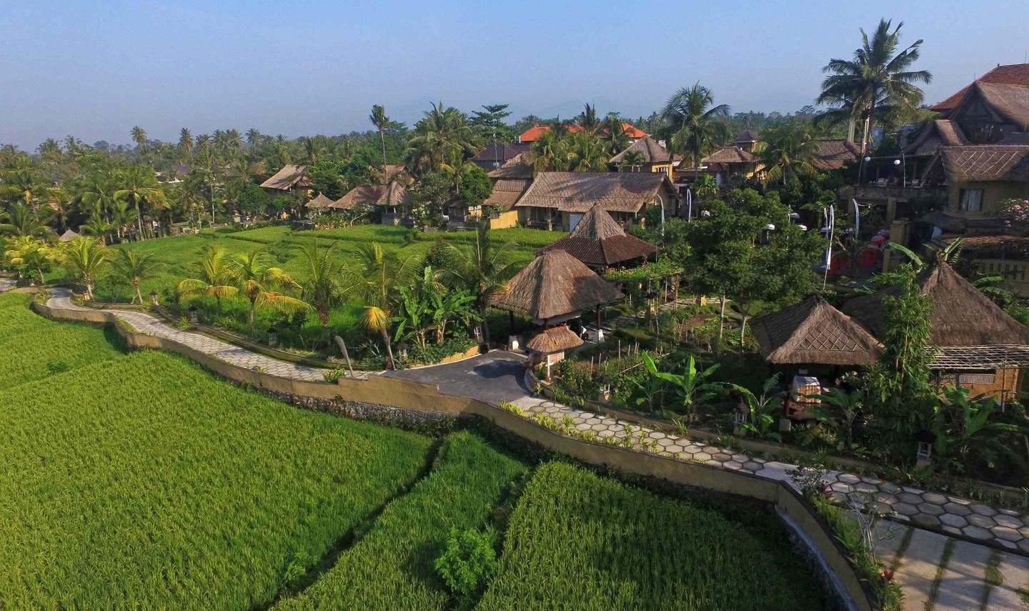 wape-di-ume-ubud-balitravel