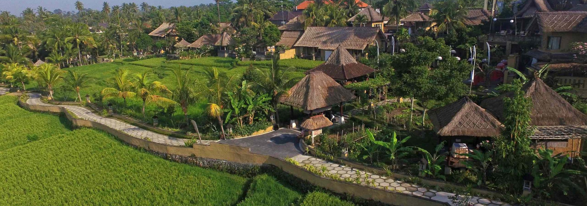 wape-di-ume-ubud-balitravel
