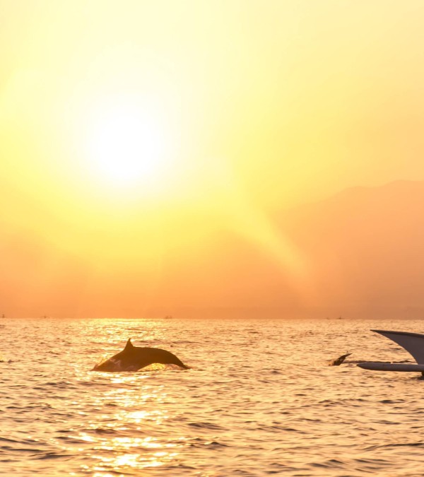 zonsopkomst-lovina-balitravel