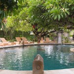 zwembad-hidden-paradise-cottages-bali-1