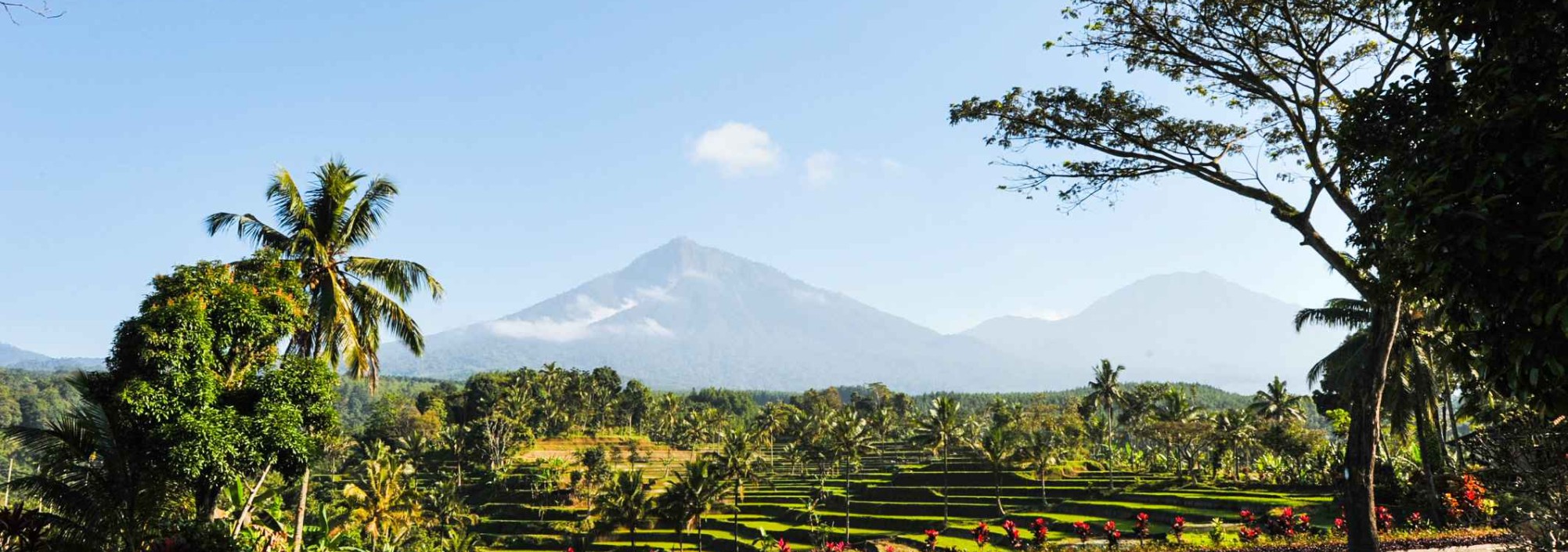 zwembad-ijen-resort-villas-java-balitravel