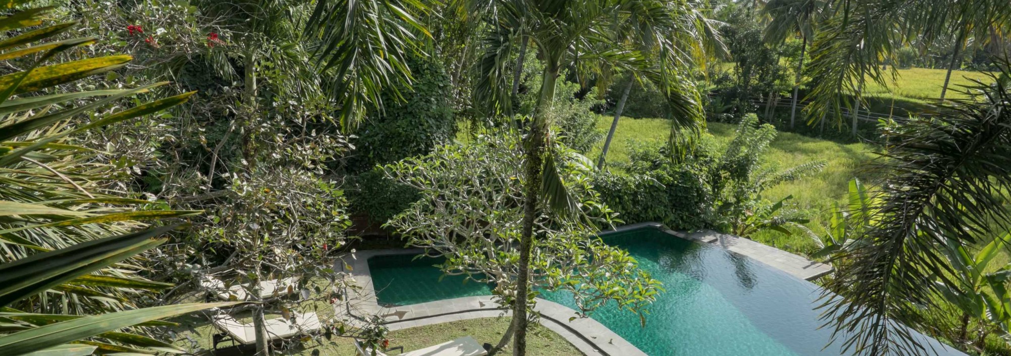 zwembad-rijstvelden-ananda-cottages-ubud-balitravel