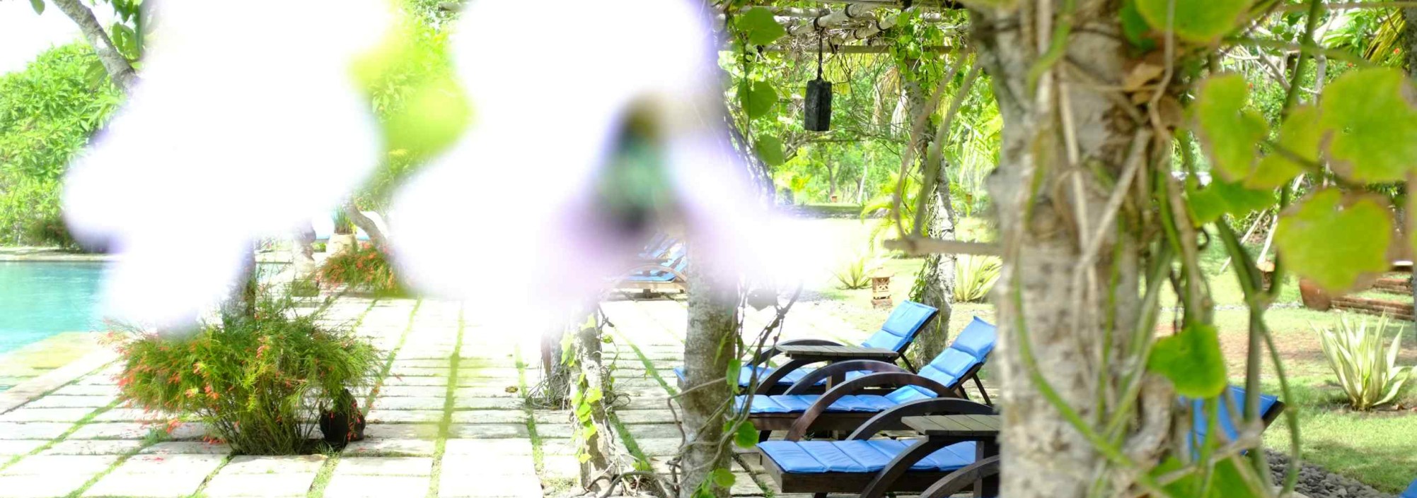 zwembad-terras-naya-gawana-resort-balitravel