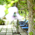 zwembad-terras-naya-gawana-resort-balitravel